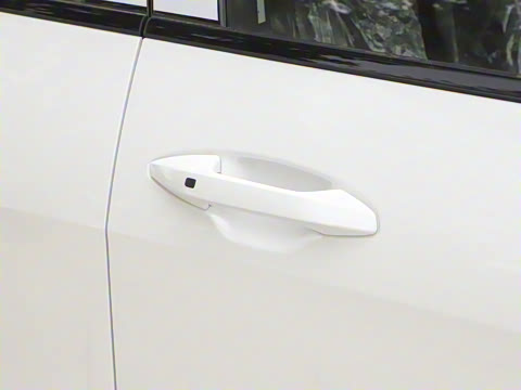 2025�� 2.0T �������������