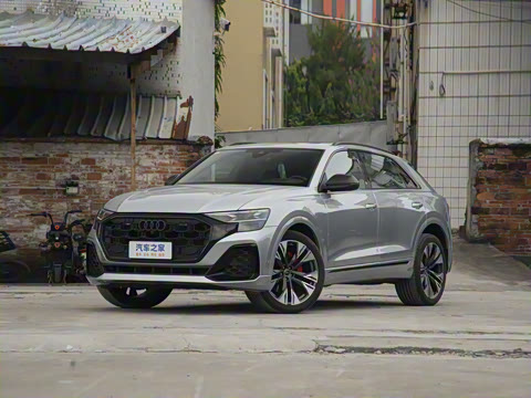 2024�� 55 TFSI ����������