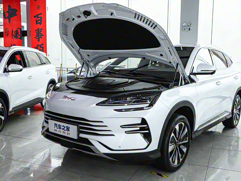 2025�� DM-i 75KM ������