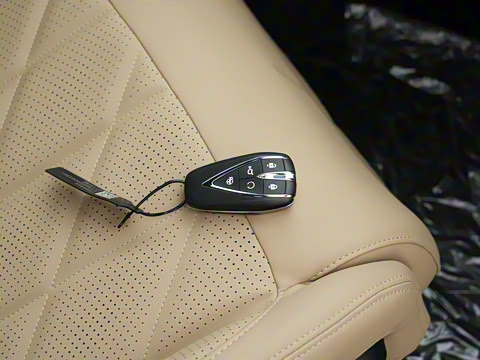 2025�� ���Ĵ� 1.5T ������ �ǻ��콢��