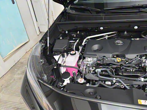 2024�� ˫�� 2.5L E-CVT��������PLUS��