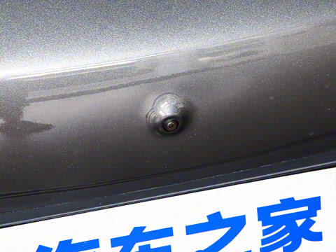 2025�� ����������������