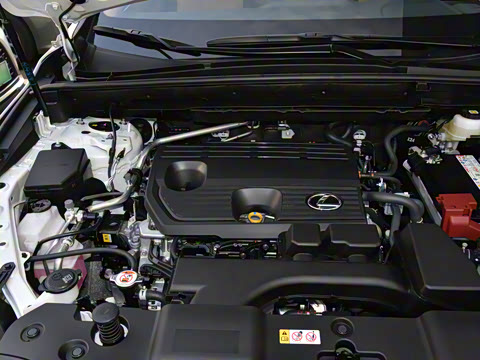 2025�� 260 ǰ�� �ر��