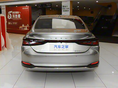 2025�� 300h ������