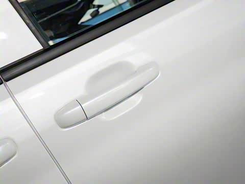 2025�� 365KM ������ 7��