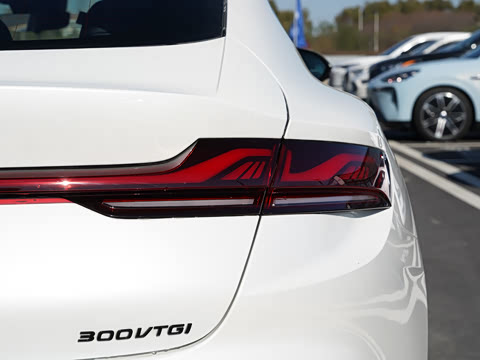 2025�� 1.5T 300 DCT���Ű�