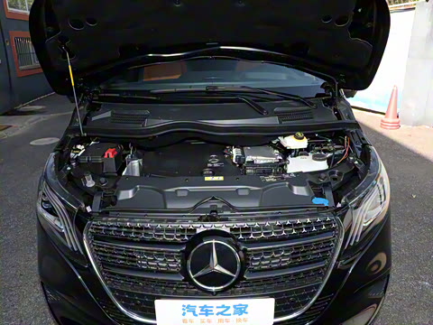 2025�� �������Ȱ�