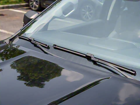 2023�� ɽ�������ֶ��� ����