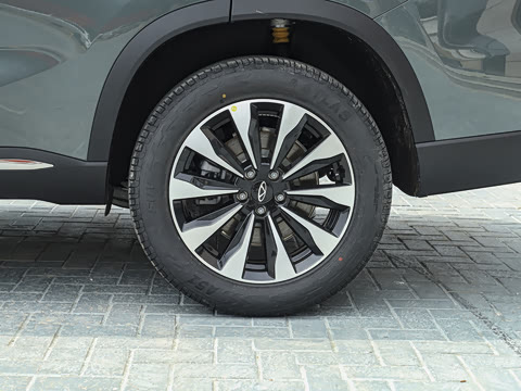 2025�� 290TGDI DCT����� 7��