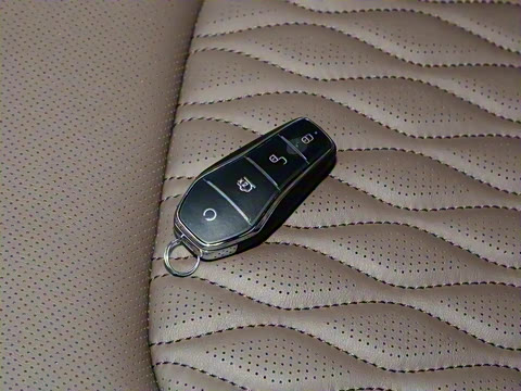 2024�� DM-i ��ҫ�� 121KM ������