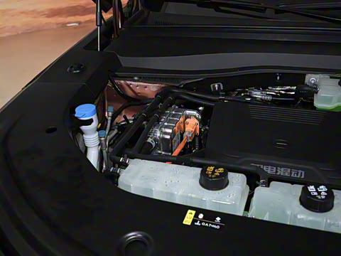 2025�� 205km Max �����״��