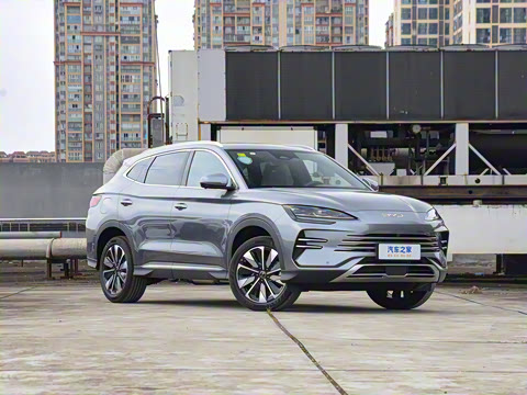 2025�� DM-i 112KM ������