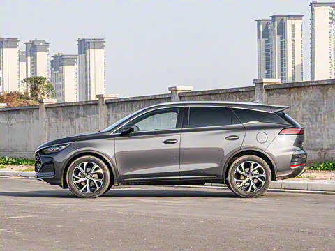 2025�� DM-i 115KM �����