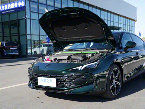 2025�� 2.0T Trophy+ �����˶���