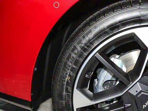 2025�� 520�����״��