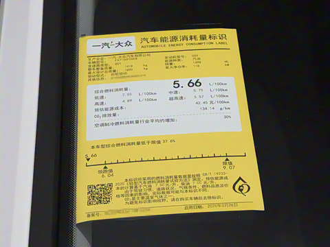 2025�� �Ŀ�� 300TSI DSG׿Խ��