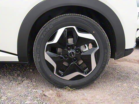 2025�� 420km ������