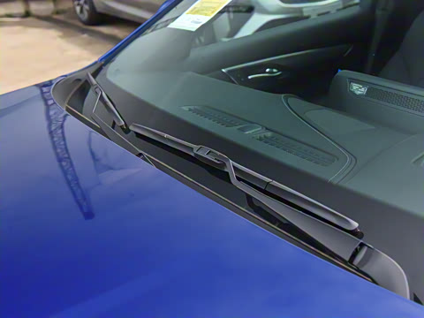 2025�� 28T �����˶���