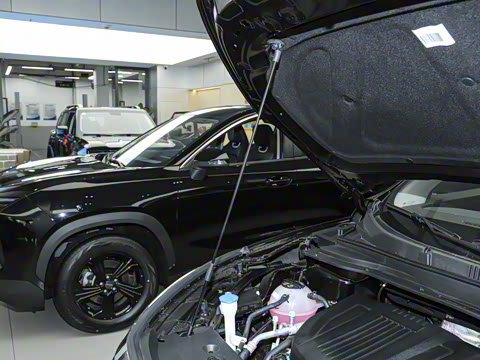 2025�� 1.6TD DCT��Ӣ�� 5��