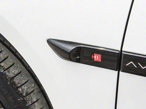 2025�� Max�����