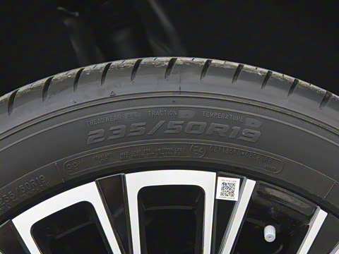 2025�� 300T �������߰�