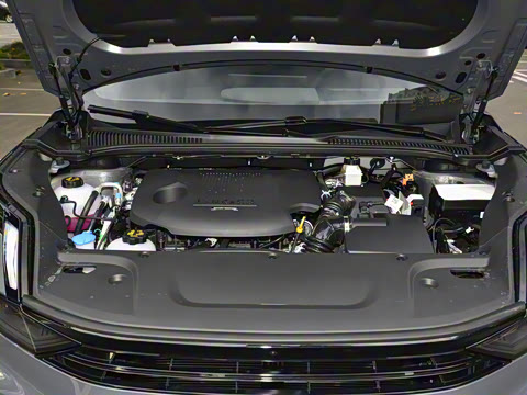 2023�� EM-P 126������Halo