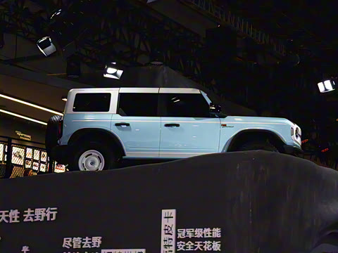 2025�� 2.3T 1966��׼��