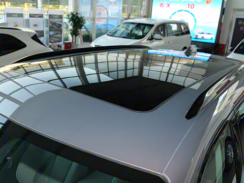 2024�� ��������Ӱ����