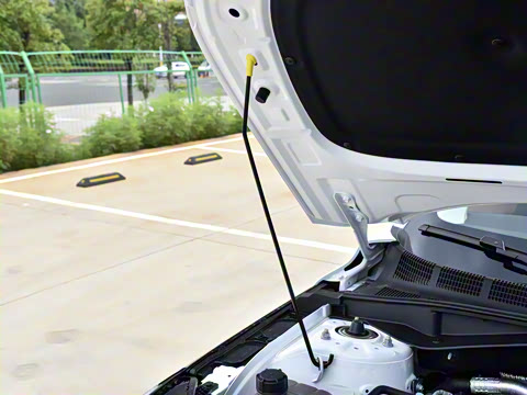 2024�� ����� 145 ������