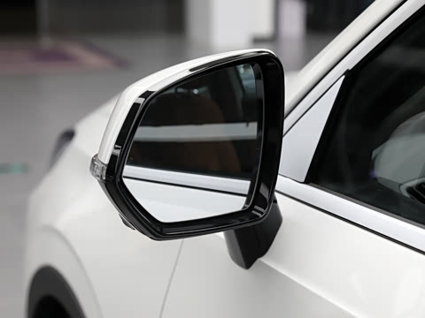 2024�� 2.0T ����Max