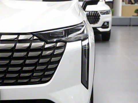 2024�� 2.0T ����Max