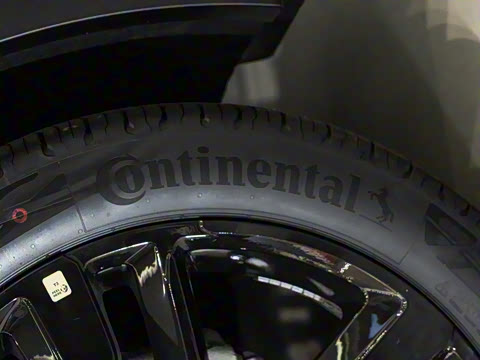 2025�� 2.0T EcoBoost E �춯 �˶���