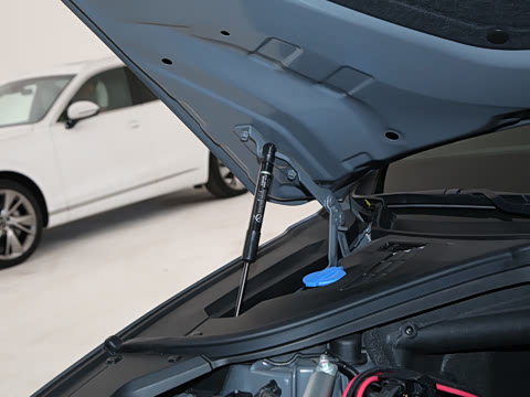 2025�� 2.5T �����콢��