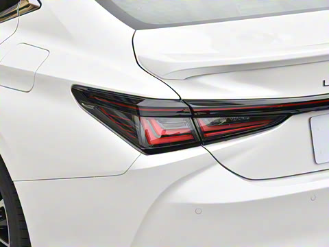 2025�� 300h ������