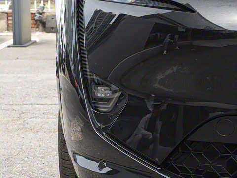 2025�� Max ���������