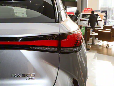 2025�� 300 ����������