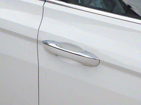 2025�� �Ŀ� 300TSI DSG���а�