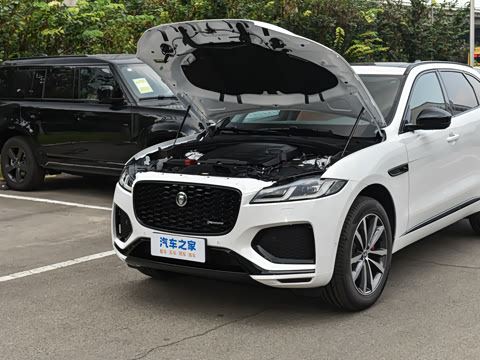 2025�� P250 R-Dynamic SE