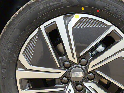 2025�� 55km ̽����