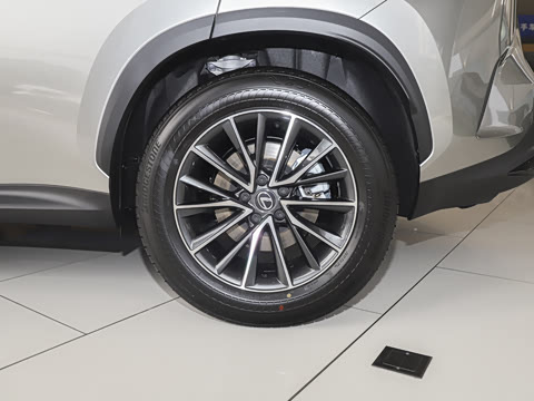 2024�� 260 ǰ�� ���ð�