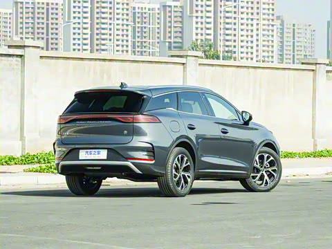 2025�� DM-i 115KM ������