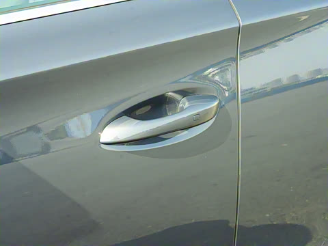 2025�� DM-i 115KM ������