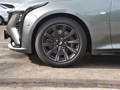 2024�� 28T �����