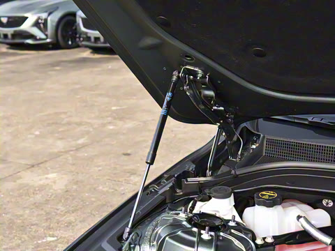 2024�� 28T �����