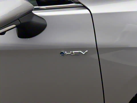 2024�� ˫�� 2.5L XLE����