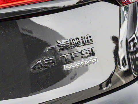 2025�� 45 TFSI ��ѡ������