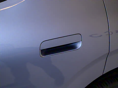 2025�� 530km ����Max