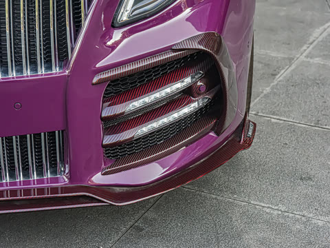 2024�� 2.0T ����V300D