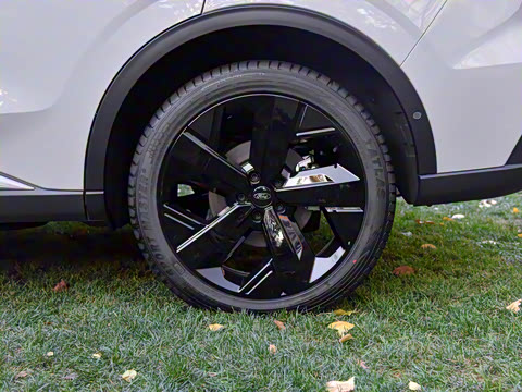 2025�� ������PLUS