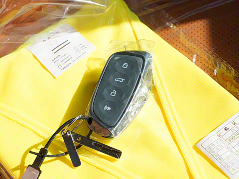 2023�� 2.0T ������Ұ��Plus